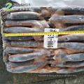 Seafrozen Illex squid ronde entière pour la vente sur le marché de l&#39;exportation de la Thaïlande